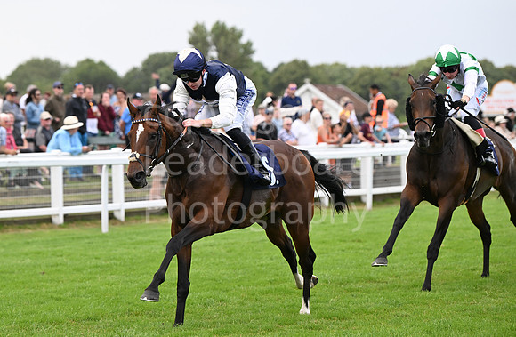 Gt_Yarm_Aug_8_2024-239
