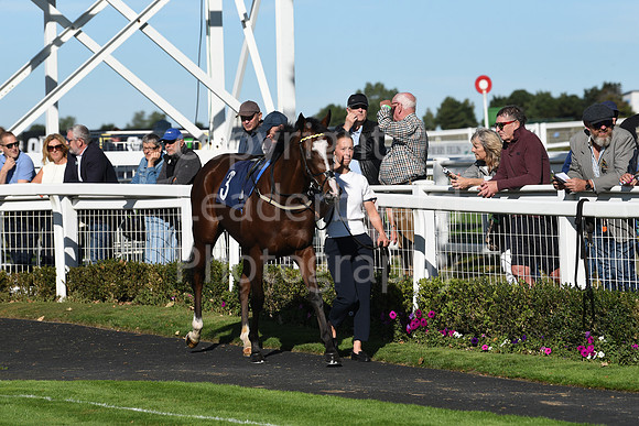 Gt_Yarm_5_Oct_2026-61