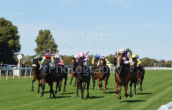 Gt_Yarm_5_Oct_2026-19