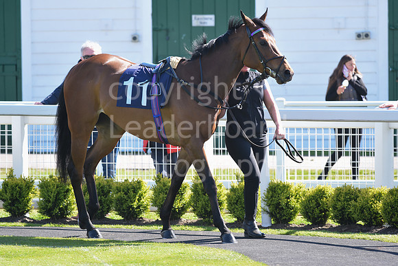 Gt_Yarm_May_2nd_2023-74