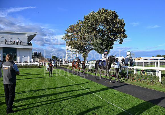 Gt_Yarm_5_Oct_2026-201