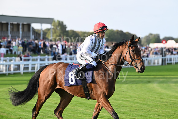 Gt_Yarm_Eastern_Fest_18_Sept_2024-221