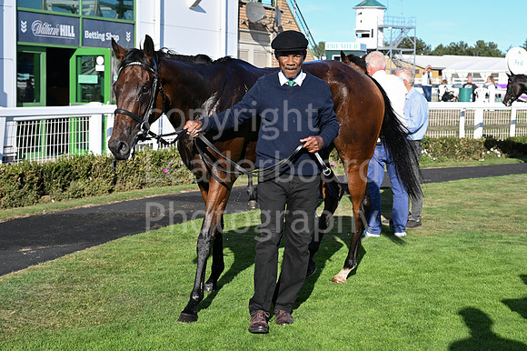 Gt_Yarm_5_Oct_2026-148