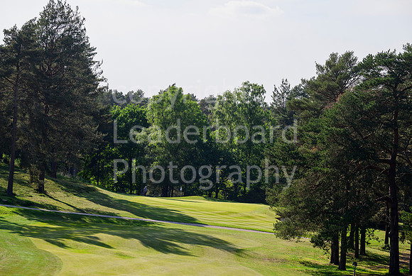 LBM_0318