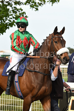 Gt_Yarm_18_May_2022-133