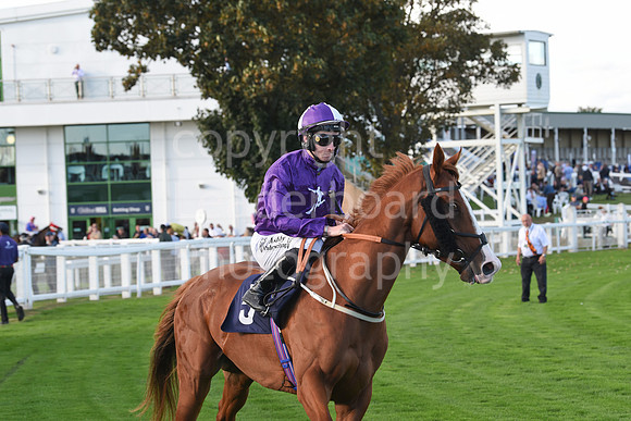 Gt_Yarm_5_Oct_2026-156