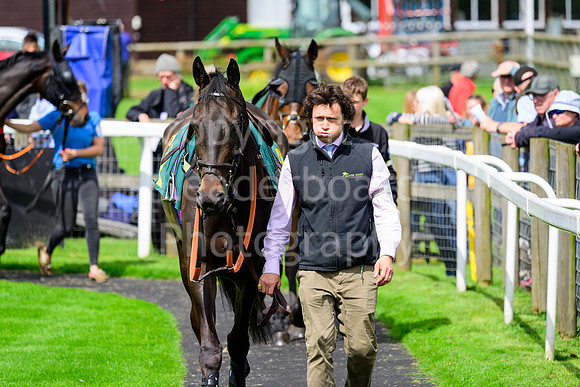 NB_065_Fakenham_09_05_23