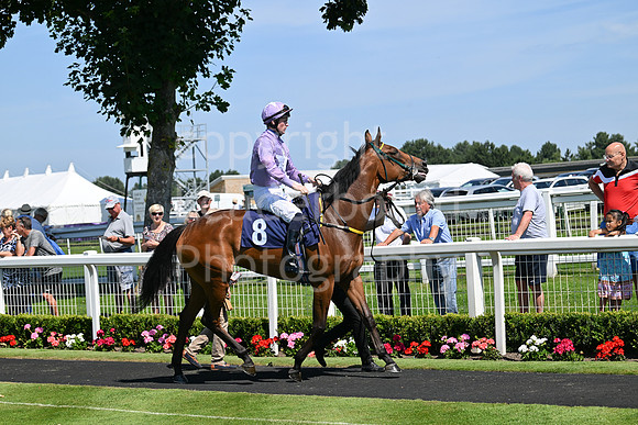 Gt_Yarm_July_30_2024-4