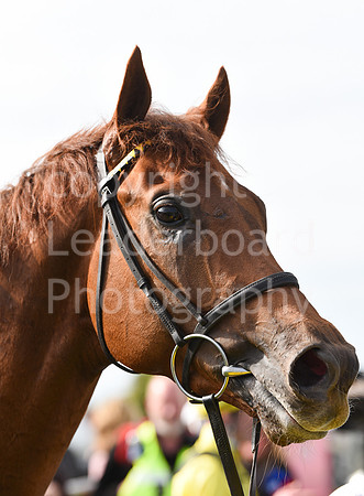 Gt_Yarm_May_2nd_2023-168