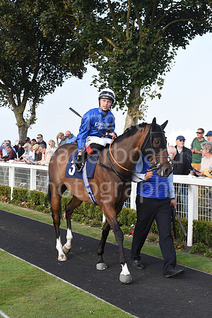 Gt_Yarm_Eastern_Fest_18_Sept_2024-191