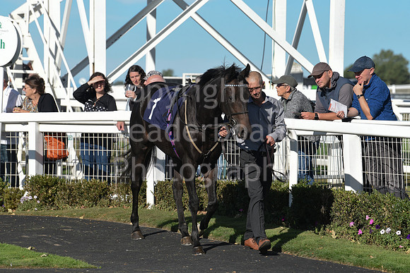 Gt_Yarm_5_Oct_2026-90