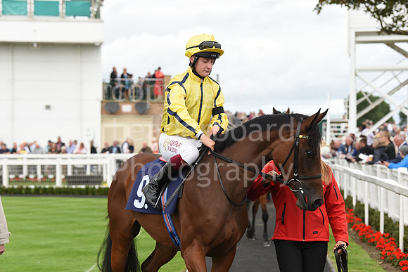 Gt_Yarm_15_Sept_2022-101