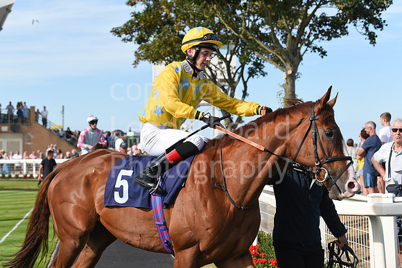 Gt_Yarm_Races_28_Aug_2022-142