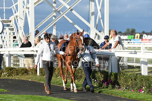 Gt_Yarm_5_Oct_2026-189