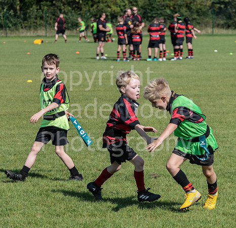 bs_53_WRFC_2018