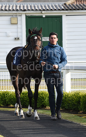 Gt_Yarm_8th_June_2023-27