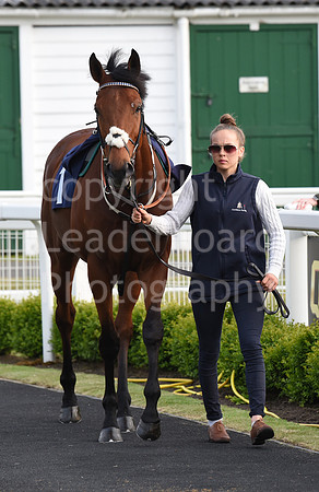 Gt_Yarm_8th_June_2023-97
