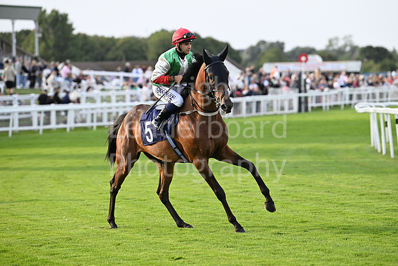 Gt_Yarm_6_Aug_2025-137