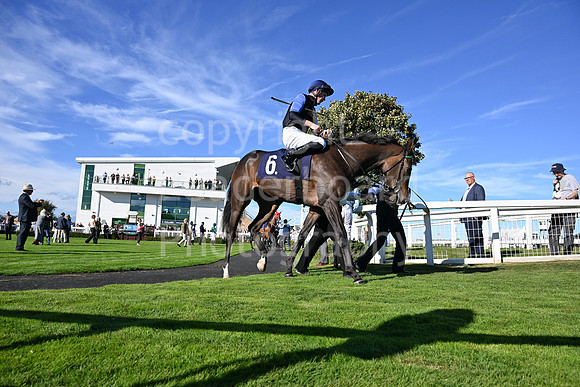 Gt_Yarm_5_Oct_2026-96
