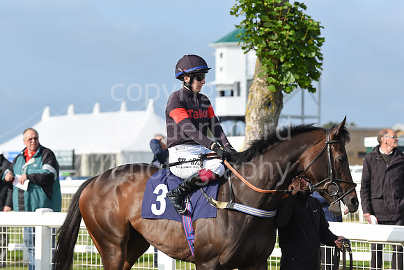 Gt_Yarm_8th_June_2023-9