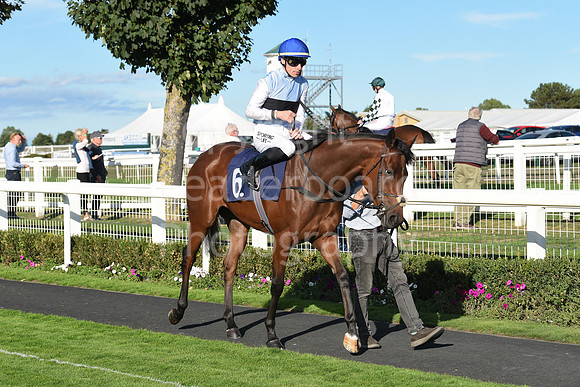 Gt_Yarm_5_Oct_2026-131