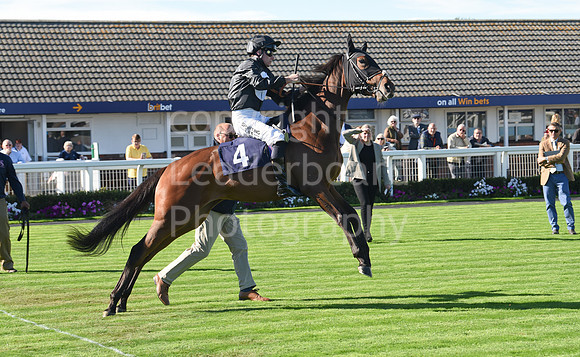 Gt_Yarm_5_Oct_2026-71