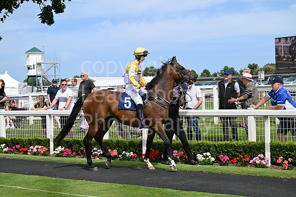 Gt_Yarm_Aug_8_2024-5