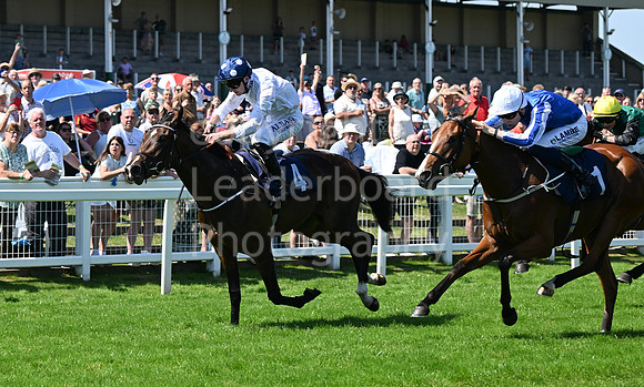 Gt_Yarm_July_30_2024-72