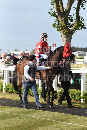 Gt_Yarm_8th_June_2023-12