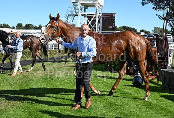 Gt_Yarm_5_Oct_2026-28