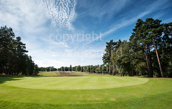 NB_Liphook_Senior.