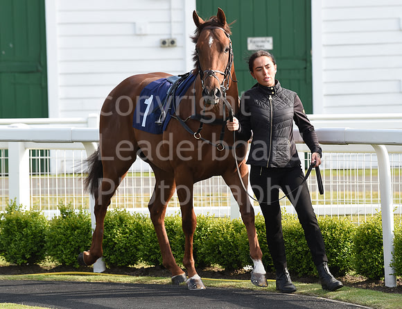 Gt_Yarm_8th_June_2023-28