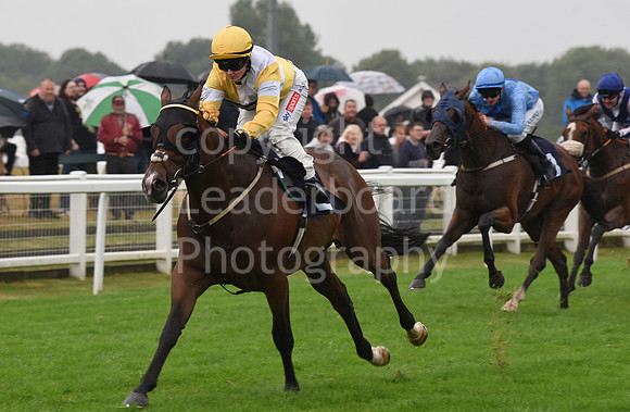 Gt_Yarm_Eastern_Fest_Day_1-121