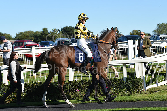 Gt_Yarm_5_Oct_2026-43
