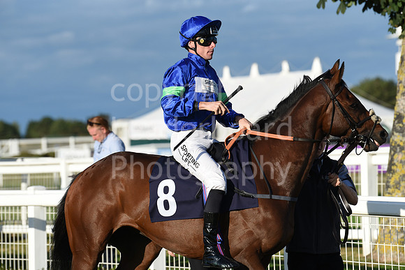 Gt_Yarm_5_Oct_2026-192