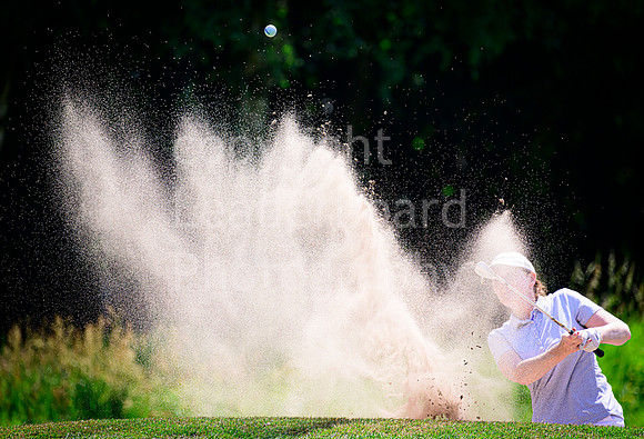 LBM_1392