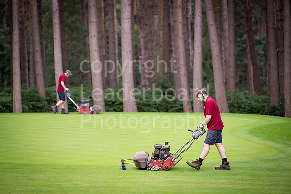 NB_015_Under_25_Woburn