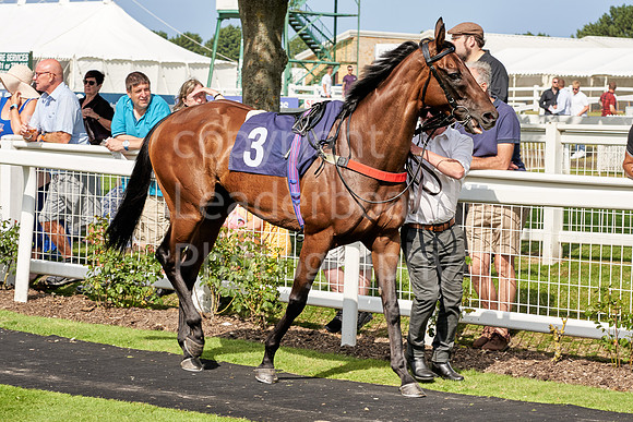 Great Yarmouth  Race Six 11th Aug 2021 0433