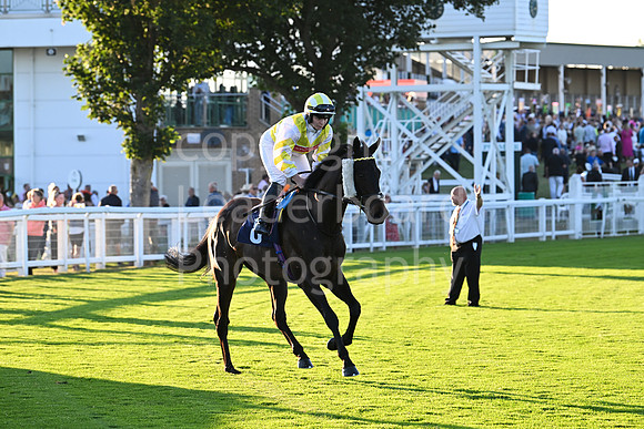 Gt_Yarm_Ladies Night_2025-166