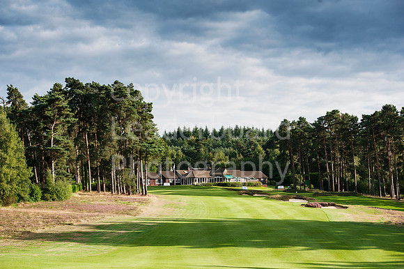 NB_Liphook_Senior.