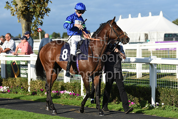 Gt_Yarm_5_Oct_2026-191