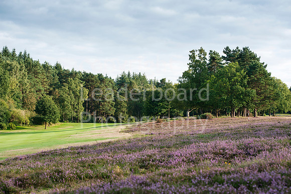 NB_Liphook_Senior.