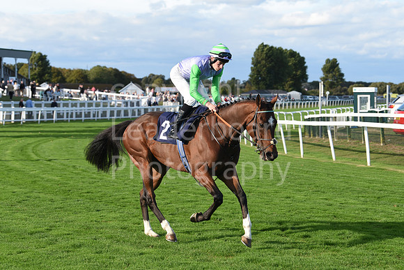 Gt_Yarm_5_Oct_2026-168