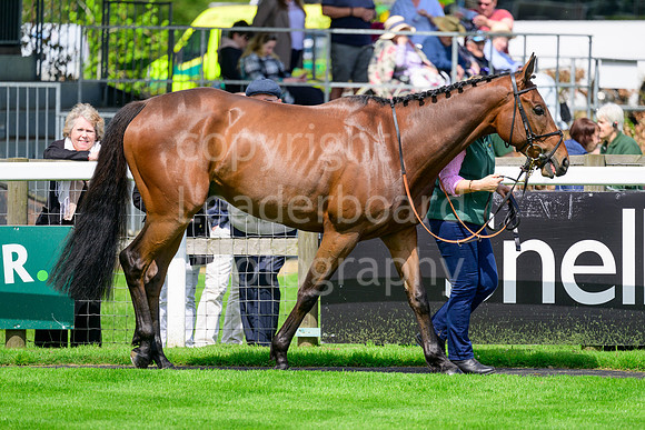 NB_001_Fakenham_09_05_23