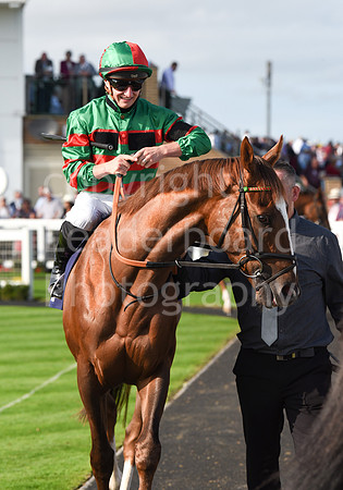 Gt_Yarm_14_Sept_2022-118