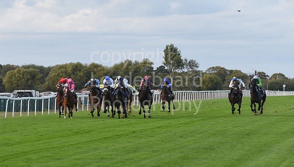 Gt_Yarm_5_Oct_2026-207