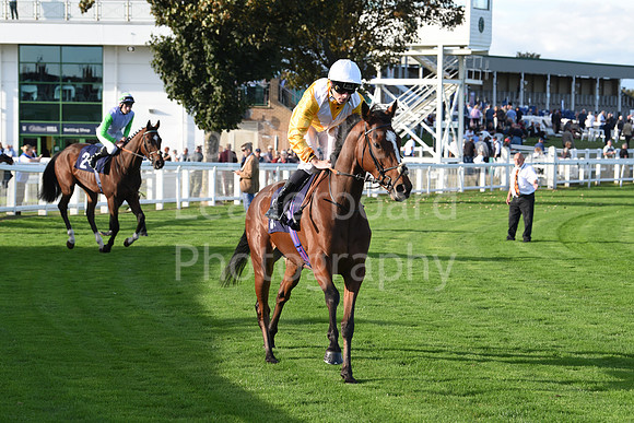 Gt_Yarm_5_Oct_2026-166