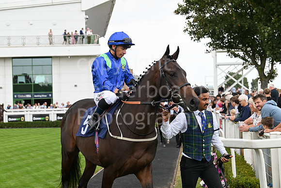 Gt_Yarm_24_Aug_2025-49