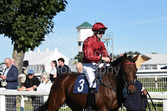 Gt_Yarm_5_Oct_2026-39
