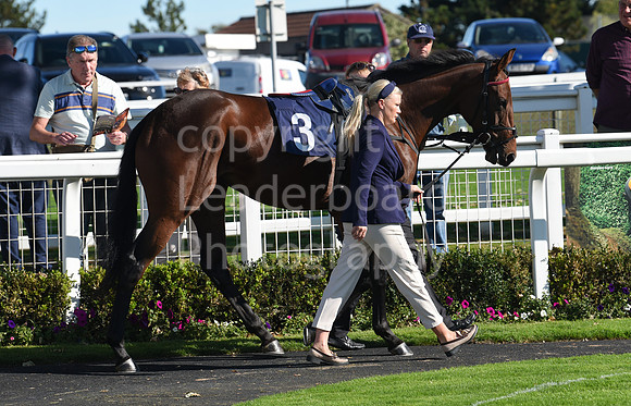 Gt_Yarm_5_Oct_2026-30